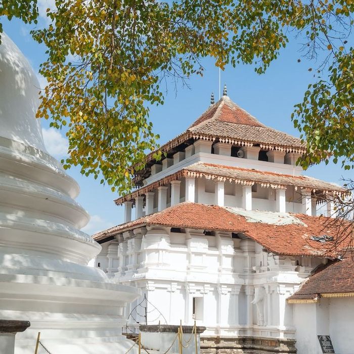 Hành trình trở về Kandy, trái tim văn hóa của Sri Lanka 4