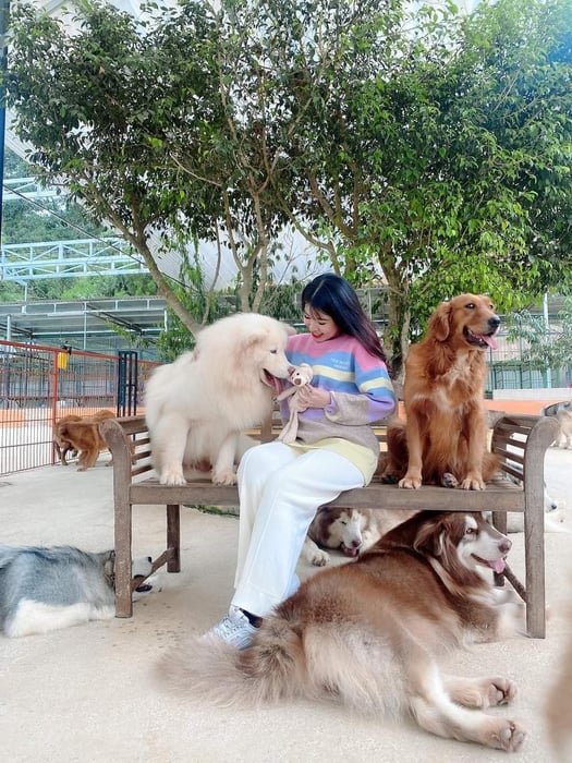 Nông trại cún Puppy Farm