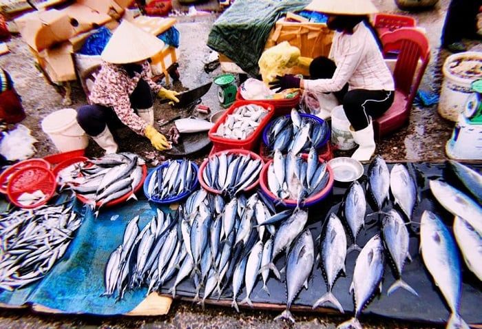 chợ Đồng Hới