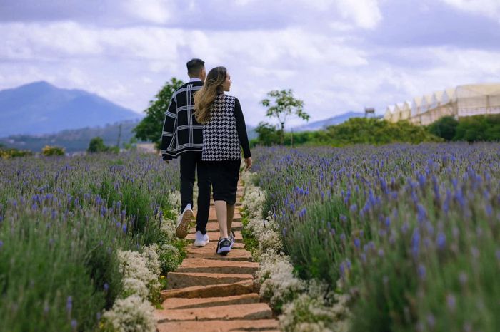 Quán cà phê Lavenderdalat - Nơi có tầm nhìn ra Hồ Tuyền Lâm đẹp mê hồn tại Đà Lạt 11