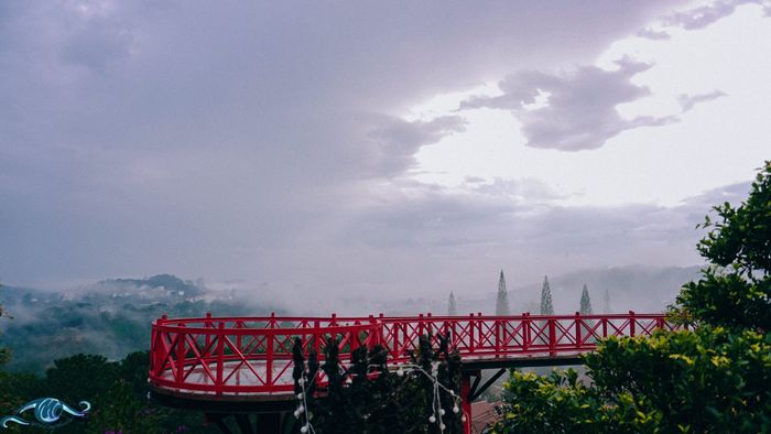 Cổng trời Đà Lạt - Di Linh View - Quán cà phê mang đậm bản sắc thơ mộng, như một sợi dây kết nối trời và đất 7