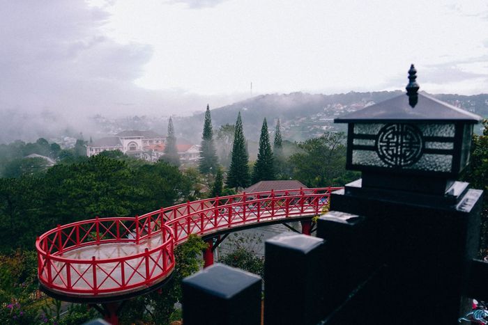 Cổng trời Đà Lạt - Di Linh View - Quán cà phê thơ mộng như một sợi dây nối liền trời và đất 8