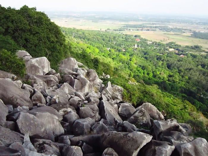 thằn lằn núi Tây Ninh