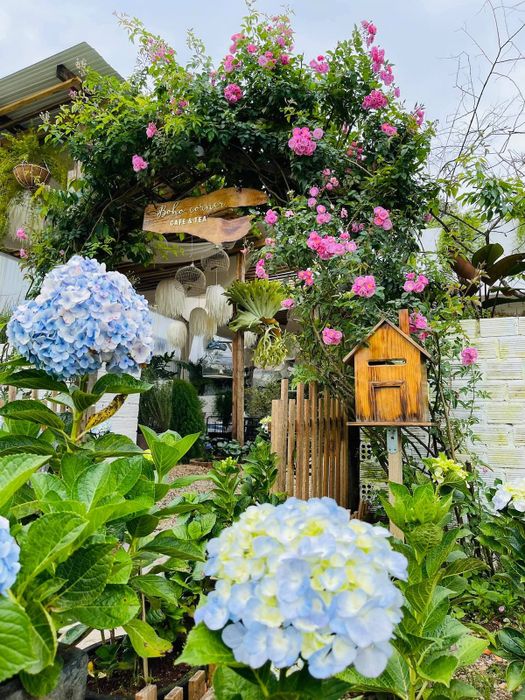 Boho Corner Coffee - Điểm Hẹn Lý Tưởng Với Phong Cách BoheMytour