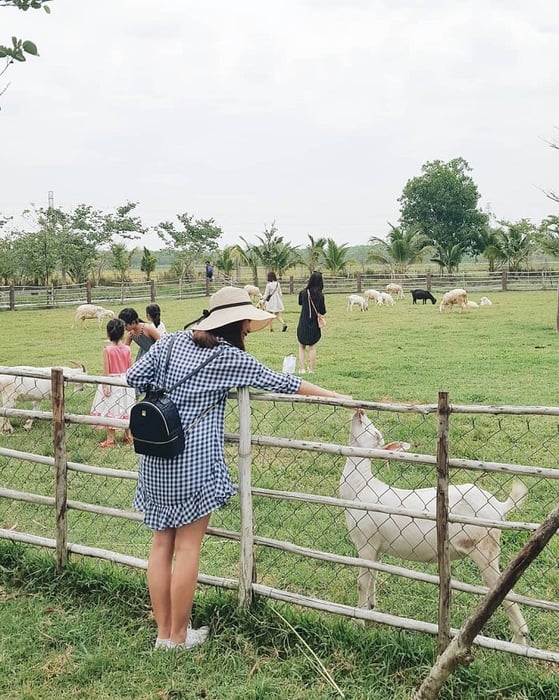 Green Noen - Nông Trang Xanh