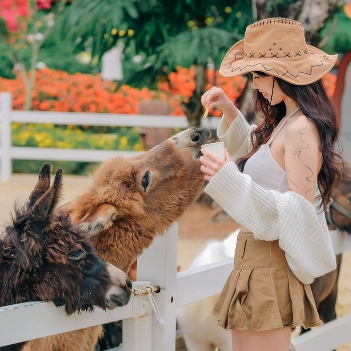 Trại cún Puppy Farm