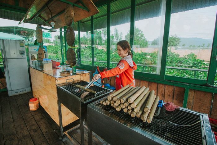 Mê Linh Coffee Garden – Điểm đến sống ảo nổi tiếng tại Đà Lạt 10