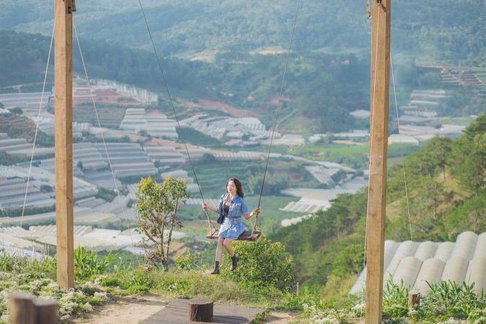 Thung Lũng Khói Xanh cho phép ngắm nhìn toàn bộ thành phố Đà Lạt từ trên cao 6