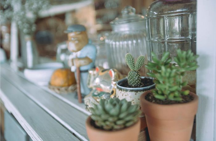 Nhà Là Trà - Điểm dừng chân đáng yêu của người yêu trà (phần 9)