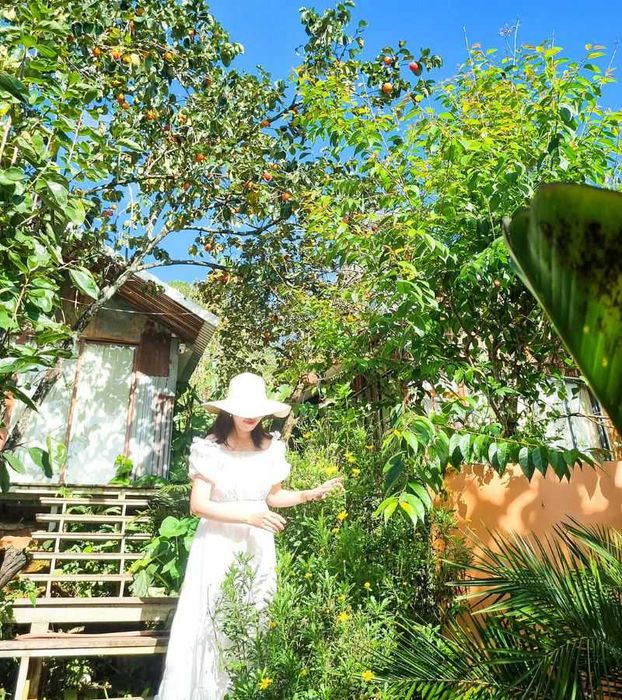 Mùa hồng Đà Lạt dịu dàng và đẹp mắt dưới bầu trời cuối thu 5