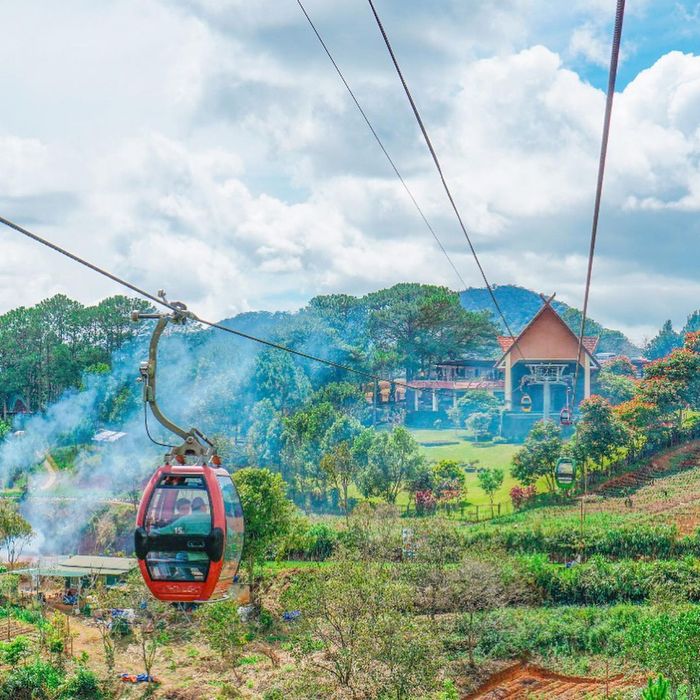 Bí kíp khám phá nóc nhà Đồi Robin trên cao nguyên Đà Lạt 7