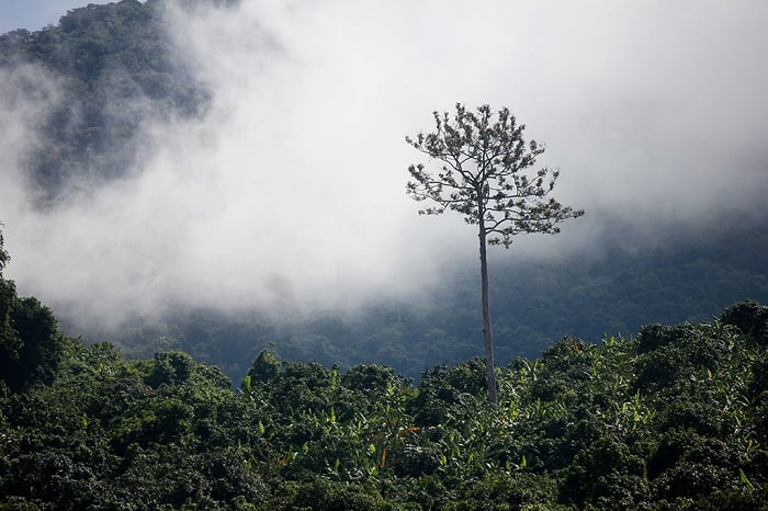 suối Trúc Tây Ninh