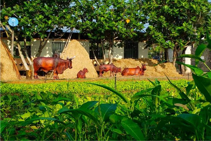 Nông trại Hải Vân Sân chim Vàm Hồ, một trong những tọa độ du lịch hấp dẫn nhất