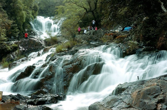 Bí kíp du lịch Đà Lạt từ Nha Trang mà bạn không thể bỏ qua 11