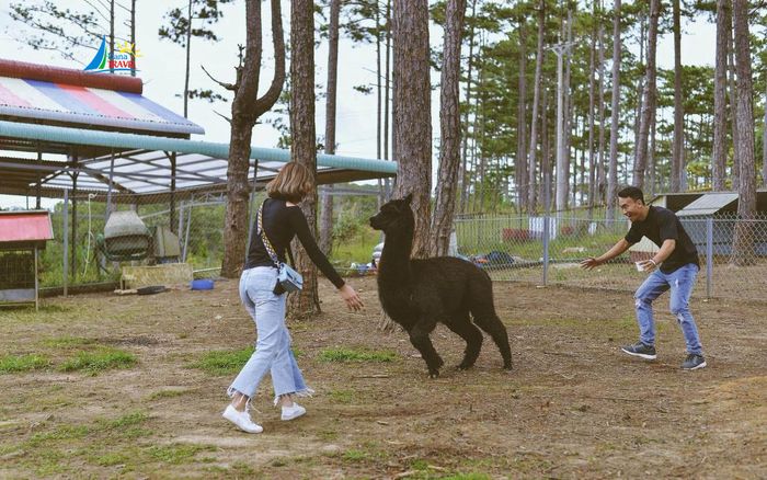 Chia sẻ kinh nghiệm khi thăm Zoodoo