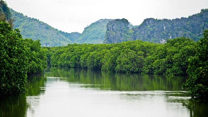 các điểm du lịch hải phòng 15