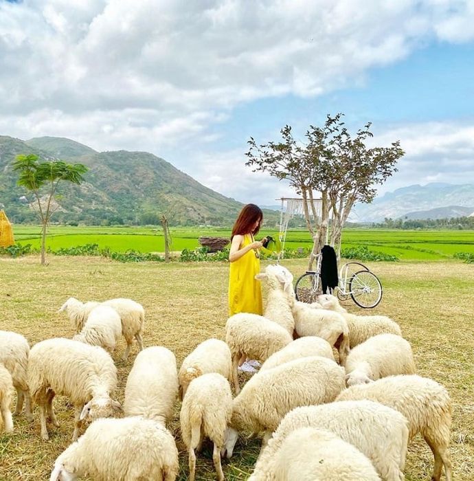 Du lịch Nha Trang 2 ngày 1 đêm