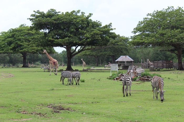 Khám phá vẻ đẹp biển đảo tuyệt vời của Palawan, Philippines