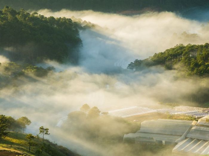 Đà Lạt vào mùa nào đẹp nhất? Bí quyết khám phá thành phố lãng mạn 2