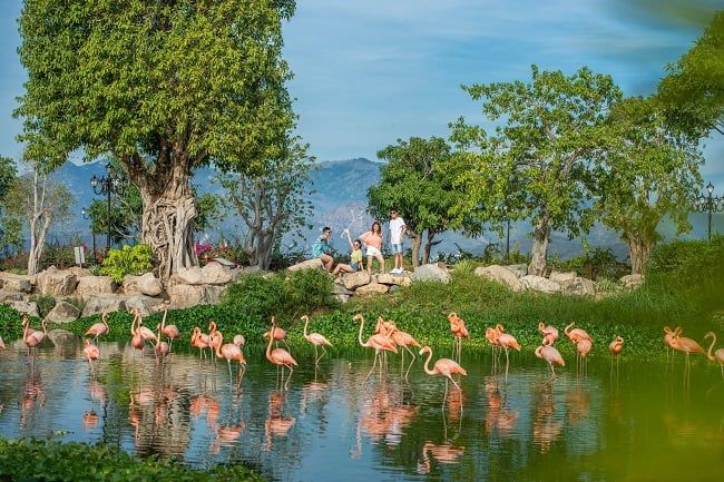 Vinpearl Safari Nha Trang