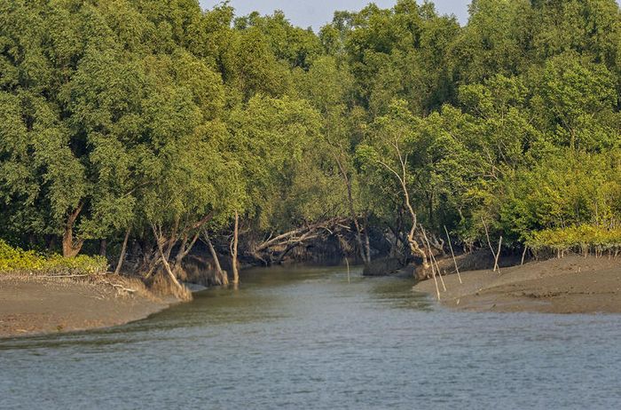 Khám phá Kolkata, thủ đô với kiến trúc độc đáo của Anh.