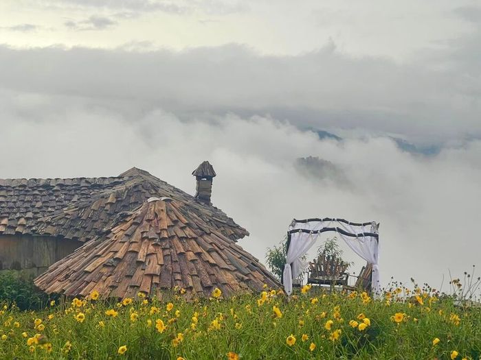 Trải nghiệm săn mây Đà Lạt, một trải nghiệm đáng giá mà bạn nên thử qua trên cao nguyên 5