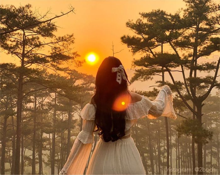 Là cô gái mộng mơ, hãy tham gia vào đội của Tường Chân với Review Đà Lạt 4N3Đ chất lượng cao