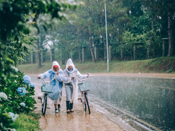 Muốn biết Đà Lạt đẹp nhất vào mùa nào? Hãy khám phá bí quyết trong thành phố mộng mơ này!