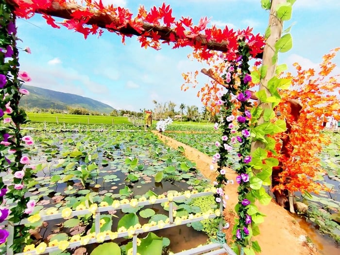 Đầm sen Bình Long