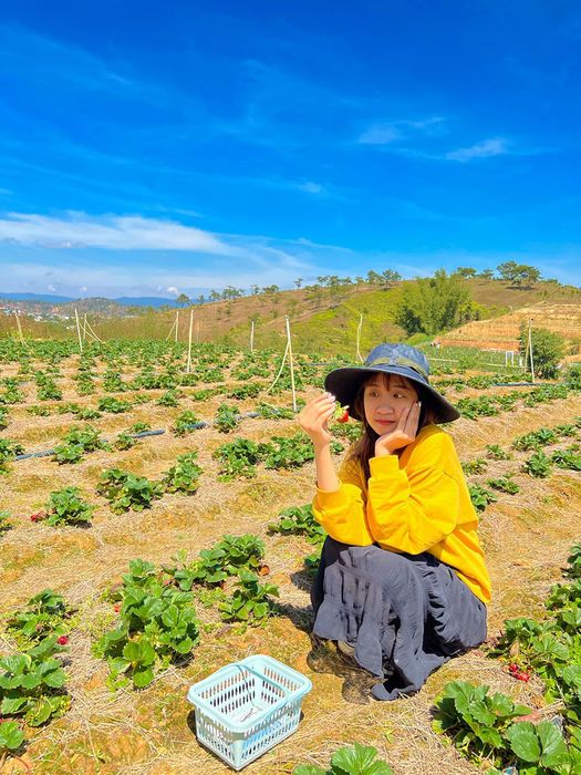 Lịch trình Hà Nội Đà Lạt 3 ngày 2 đêm dành cho những người yêu thích khám phá 13