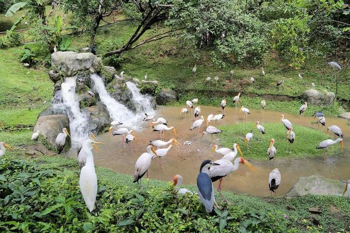 Khám phá Kuala Lumpur để trải nghiệm văn hóa độc đáo của Malaysia.