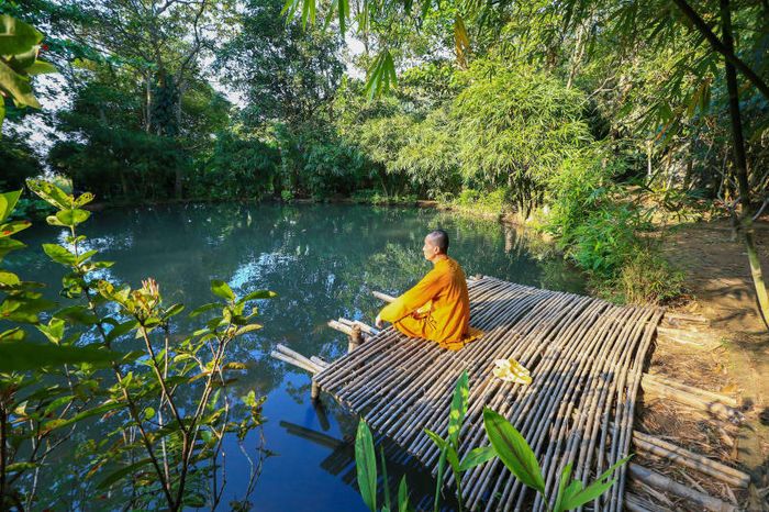 Sơn Trà Tịnh Viên - hành trình tìm về bình yên và an nhiên 5