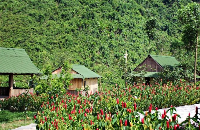 Trải nghiệm trượt thác dài 3km tại Thác nước Hòa Phú Thành, Đà Nẵng