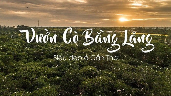 Muốn tham gia hoạt động gì tại Cần Thơ?