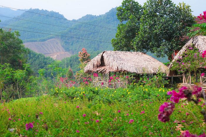 Khu du lịch Suối Hoa Đà Nẵng - Nơi thư giãn yên bình 4