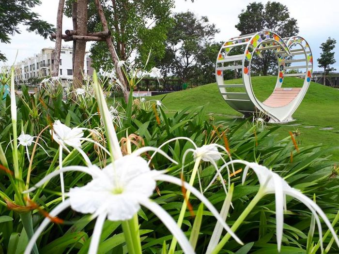 Trải nghiệm Midori Park, công viên kiểu Nhật nổi tiếng tại Bình Dương 5