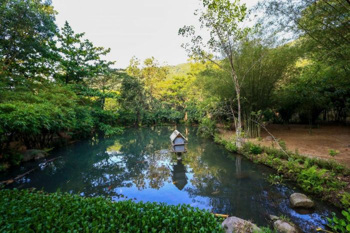 Sơn Trà Tịnh Viên - hành trình tìm về bình yên và an nhiên 4