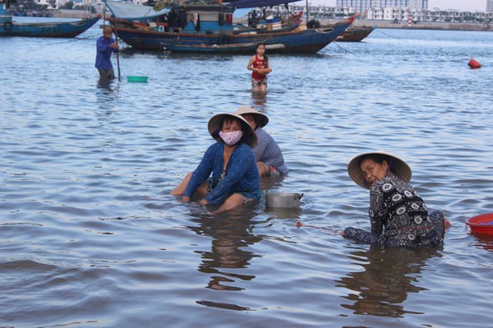 Món Chíp chíp hấp sả - Hương vị đậm đà của miền Trung 4