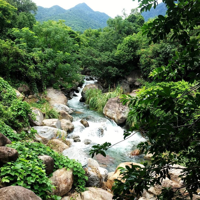 Khám phá Khu du lịch Suối Lương Đà Nẵng – Nơi trữ tình và lãng mạn tạo nên bởi sự giao hòa với đèo Hải Vân.