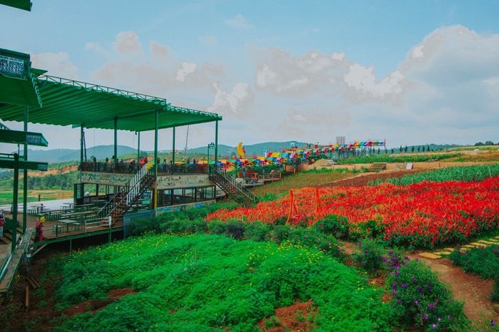 Đà Lạt có gì chơi