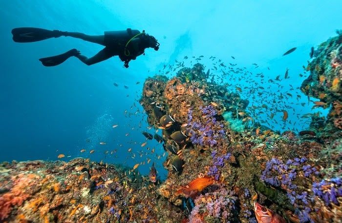 tour Nha Trang
