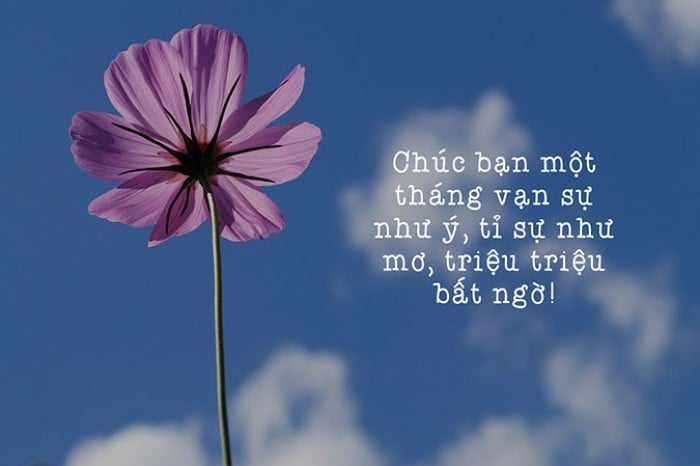 Chúc mừng đầu tháng!