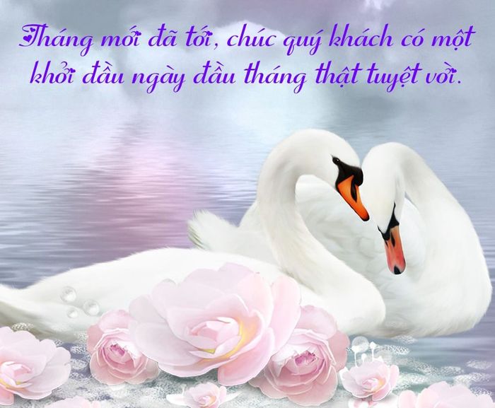 Sự hỗ trợ từ bạn là niềm vui của chúng tôi. Chúng tôi luôn trân trọng và biết ơn điều đó. Chúc bạn có một tháng mới đầy thành công và may mắn.