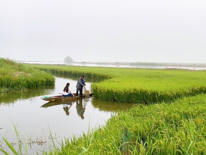 Khám phá Phá Hạc Hải