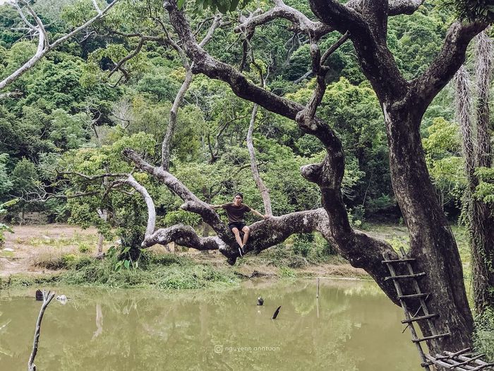 Trải nghiệm Nhất Lâm Thủy Trang Trà - Khám phá vẻ đẹp thiên nhiên hoang sơ và đầy thi vị (phần 5)