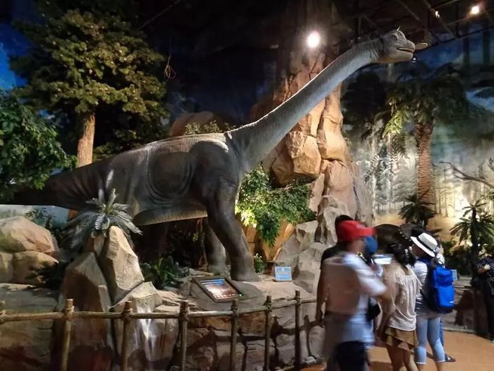 Khám phá toàn bộ khu vui chơi Fantasy Park Bà Nà Hills từ A đến Z 13