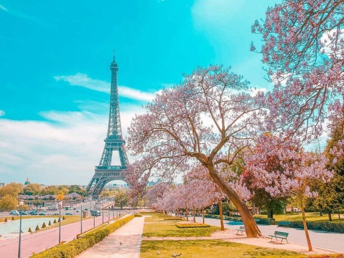 Đắm chìm trong vẻ đẹp lãng mạn của thủ đô Paris, một trải nghiệm không thể quên khi đặt chân đến Pháp.