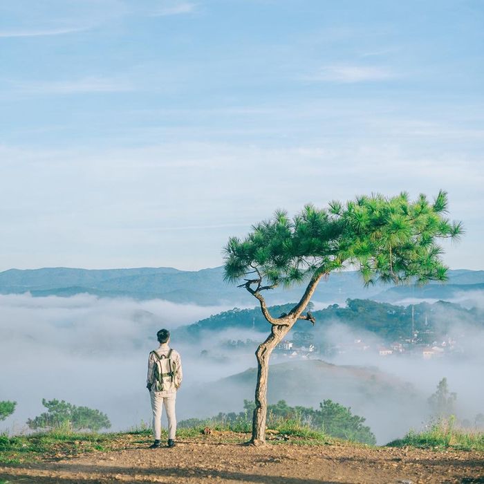 Đà Lạt đi đâu