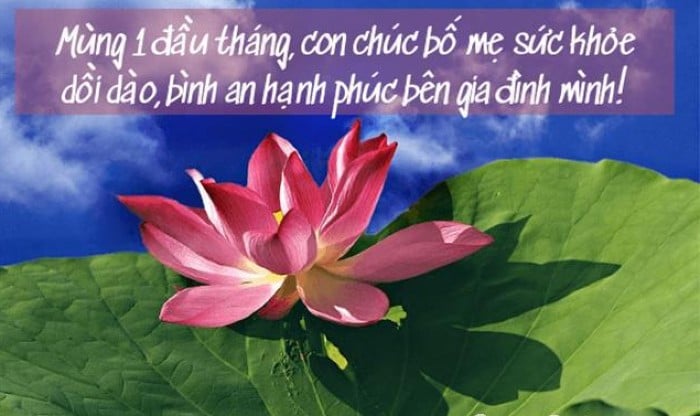 Lời chúc đầu tháng sẽ mang lại niềm vui và hạnh phúc cho bố mẹ.