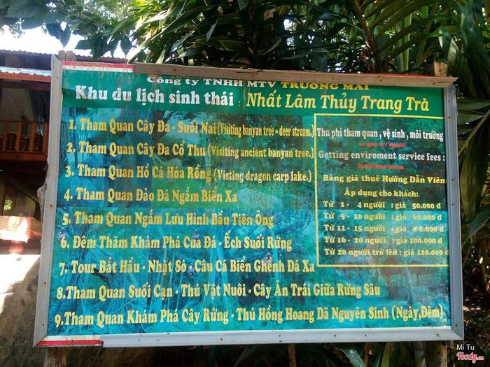 Kinh nghiệm Nhất Lâm Thủy Trang Trà - Khám phá thiên nhiên hoang sơ và thi vị